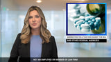 News-Style Videos - Single-Video Purchase
